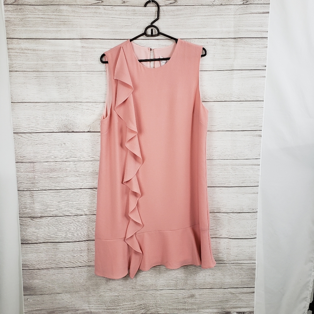 Charles Henry Pink Dress